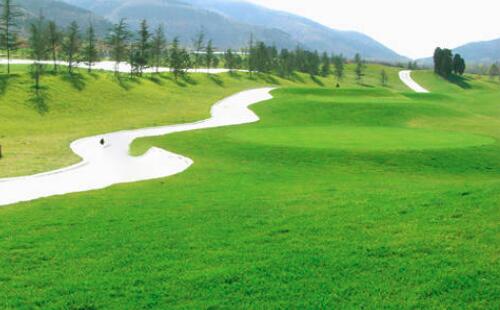 立秋后園林養(yǎng)護管理工作該怎么做？